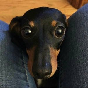 Meet your Posher, Kelli